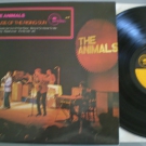 ANIMALS / HOUSE OF THE RISING SUN