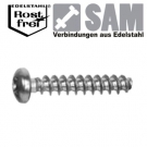 25 PT Schrauben für Kunststoffe Linsenkopf A2 4,0X14 TORX - Kunststoffschrauben