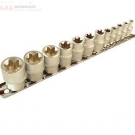 E-Profil Steckschlüssel-Einsätze Aussen Torx 1/4 + 3/8 E4 - E20 12-tlg.