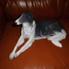 Rosenthal Windhund Barsoi  40 cm  Sign Max Valentin Jahresmarke (1934 - 1956 )