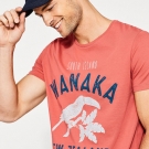 Artwork T-Shirt aus Baumwoll-Jersey