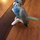 Porzellan Figur Ens Wellensittich blau Vogel Top Zustand !