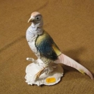 ███►alte Porzellanfigur "Fasan/Modell 6882 " Karl Ens " ( Nr.2 )