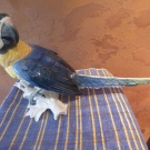 ENS Porzellanfigur Vogel großer Ara orange/blau 22x14x37 cm Papagei