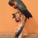 ENS Papagei mit Kirschen