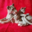 Bing und gröndahl Löwin mit Jungen # Ganz Seltend 