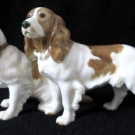 große Hutschenreuther Porzellanfigur, Jagdspaniel Paar, sammelwürdig