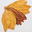 Tabakblätter 1 kg Virginia 70/30 Burley-ERNTE 2017-Top Qualität-Tabak-Duft -Deko