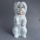 ANTIQUE  HEUBACH  BISQUE  LARGE 9"  MALTESE  BEGGING DOG - C. 1900