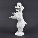 e37z06- Rosenthal Porzellan Figur, Hund, stehender weisser Pudel