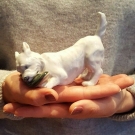 PORZELLAN ROYAL COPENHAGEN HUND TERRIER  :::1 WAHL:::