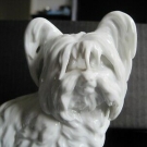 SUPERB WIEN VIENNA AUGARTEN PORCELAIN SKYE TERRIER DOG MODEL NO. 1631 