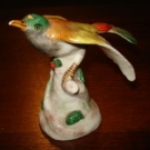 Oiseau en porcelaine , Saxe , Meissen.
