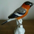 MEISSEN PORCELAINE OISEAU ROUGE GORGE SIGNEE / VOGEL ROTKEHLCHEN
