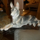 großer antiker Deutscher Schäferhund Gebr.METZLER & ORTLOFF/Ilmenau(Thüring.)