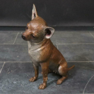 Sitzender Hund Chihuahua 38 cm Bronze Skulptur farbig patiniert (ML6975)