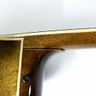 Ortega KTSM-5 Akustikbass 5-Saiter Ken Taylor elektrifiziert natur Bassgitarre 