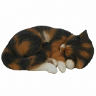 Vivid Arts Real Life - Sleeping Tortoiseshell Cat - Resin Home & Garden Ornament